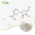 니코틴아미드 리보사이드 염화물 분말